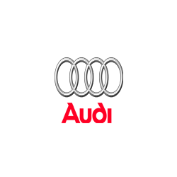 Audi TT RS 2.5 TFSI V5 400PS 8V0907404A 013322